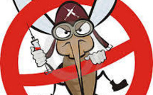 Narration: Jack Neuf Huit, auteur alité à Moorea, décrit la crise du Chikungunya