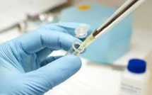 Dengue : découverte d'anticorps, susceptibles d'aider la recherche