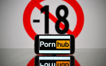 Le gouvernement présente un plan hétéroclite pour "sécuriser" internet