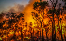 Les feux en Australie ont alimenté le phénomène météo La Nina