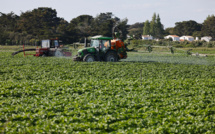 Sénat: un texte controversé pour un "choc" de compétitivité de l'agriculture