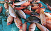 Le poissonnier travesti s'exhibe dans sa vitrine et est convoqué au tribunal