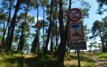 L'Assemblée nationale étend l'interdiction de fumer dans les bois et forêts