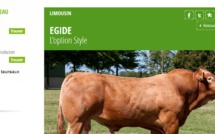 Avec "trouverlebontaureau.com", les vaches ont enfin leur Meetic