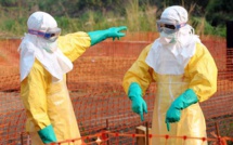 Ebola : 7.842 décès et 20.081 cas dans les trois pays les plus touchés (OMS)