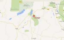 Tanzanie: six lions tués par des Masaï dans le nord