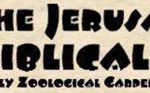 Zoo de Jérusalem: une tigresse mange ses deux petits pour une raison inconnue