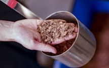 Du charbon à base de cacao face au réchauffement climatique