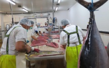 La Polynésie comptait 502 bateaux de pêche en 2013