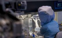 Fin de l'épidémie de virus de Marburg en Guinée équatoriale