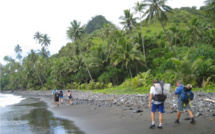 Petite hôtellerie de Tahiti iti : vers un collectif pour être entendu ?