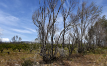 Sécheresse: beaucoup de nappes au plus bas, "vives inquiétudes" pour le Sud-Est
