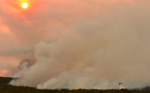 Les températures moyennes dans le monde à un niveau record pour un début juin