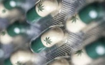 Brésil : accès facilité à un médicament dérivé de la marijuana