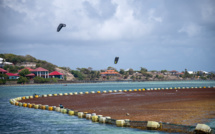 La Guadeloupe expérimente les barrages flottants face aux sargasses