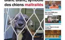 TAHITI INFOS N°335 du 16 janvier 2015