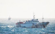 La Nouvelle-Zélande saisit Interpol pour contrer la pêche illégale