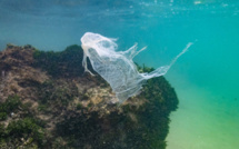 Le traité historique pour protéger la haute mer largue enfin les amarres