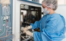 Cellules souches pour réparer le coeur: une percée française