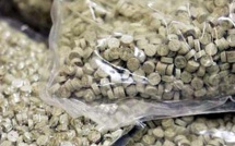 L'Australie demande à l'Indonésie d'épargner ses trafiquants condamnés à mort