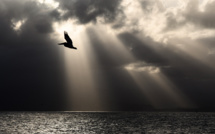 Guadeloupe: une commune reconnue par l'Unesco pour sa préparation au risque tsunami