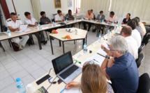 Comité de pilotage sur les ressources minérales subaquatiques en Polynésie française