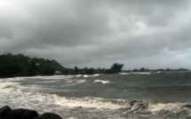 "Risque très important d'épidémie de leptospirose"