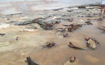 Punaauia : le lagon du PK 18 s'envase