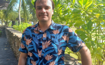 L’art dans la toile