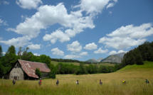Disparition du petit Emile: vers un arrêt des opérations de ratissage au Haut-Vernet