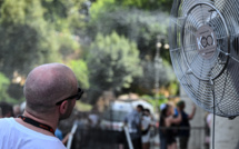 L'hémisphère nord suffoque au pic des vagues de chaleur