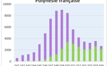 L'épidémie de chikungunya en phase de décroissance
