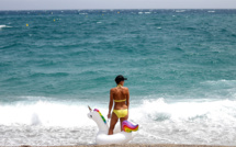 La surchauffe des océans menace les écosystèmes marins