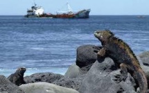 Equateur : nouvelles menaces de pollution aux Galapagos