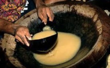 Fidji: Bientôt du kava en infusion?