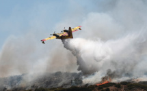 Grèce: le "panomara s'améliore" sur le front des feux