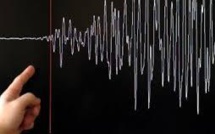 Fort séisme dans le sud-ouest du Japon, pas de tsunami ni dégâts rapportés