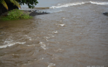 Epidémie de leptospirose déclarée en Polynésie française