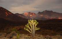 Un énorme incendie en Californie et au Nevada provoque des tornades de feu