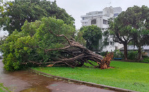 Japon: un mort et 200.000 foyers toujours sans électricité au passage d'un typhon à Okinawa