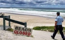 Un Japonais tué par un requin en Australie, les jambes arrachées