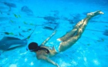 Développement économique : Notre niche touristique sera-t-elle "l'écolo-chic" ?