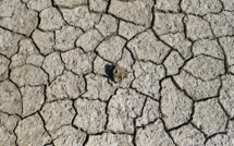 Juillet 2023, mois le plus chaud jamais enregistré, affole les compteurs