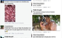 L'homme et la tête de chien : et si c'était une mauvaise blague ?