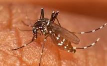 Premier décès dû à un cas de chikungunya en Guyane
