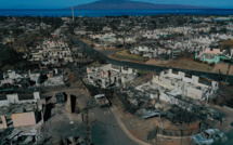 A Hawaï comme dans l'Ouest américain, les incendies carburent aux herbes envahissantes