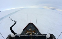 Un brise-glace américain libère un chalutier australien piégé dans l'Antarctique