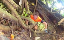 Nouveau défi :  Alain Bohard traversera Tahiti en trois jours