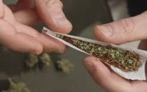 Une variété forte de cannabis augmente le risque de maladie mentale