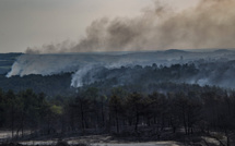 Grèce: 18 migrants présumés retrouvés morts dans un feu de forêt